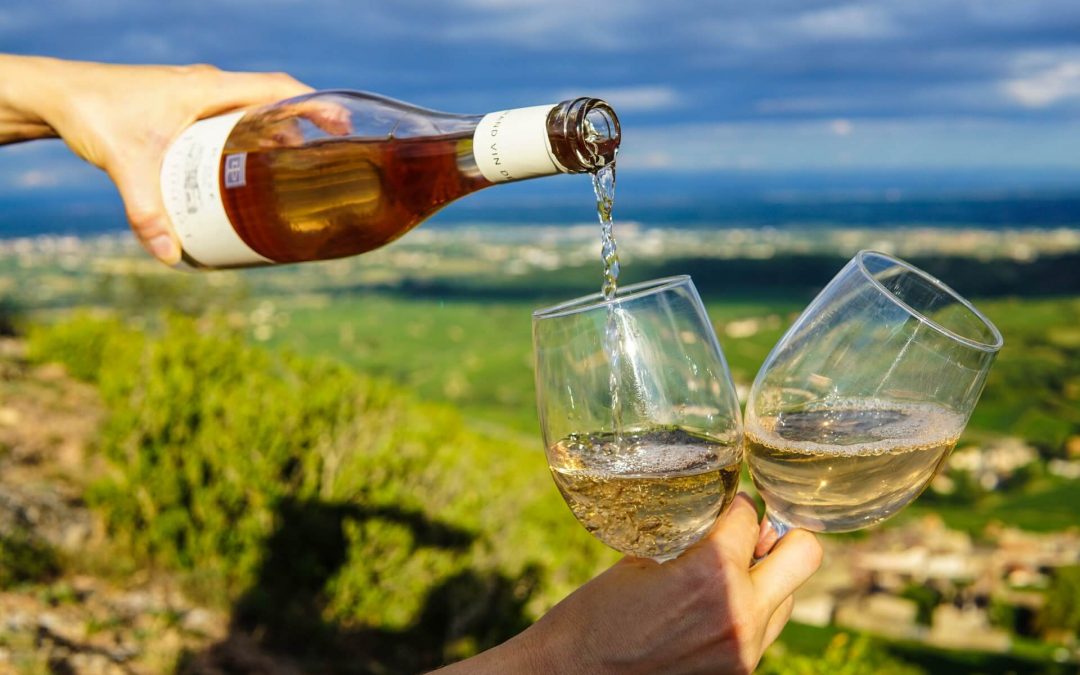 Wine Country Tour
